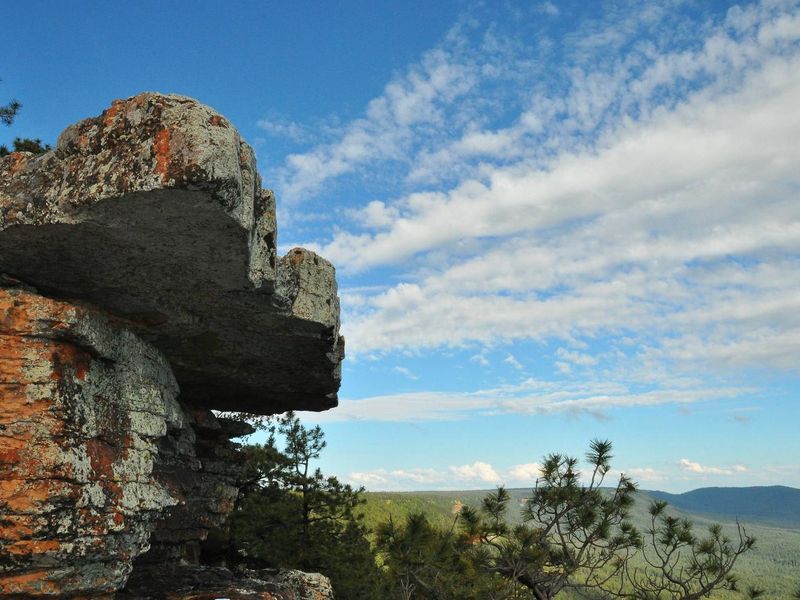 Spillway Campground is a short walk away on the paved Meadow Trail from the breathtaking views off the Mogollon Rim.  