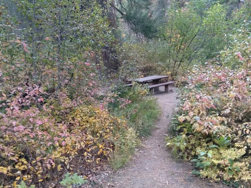 Ten Mile Site 3 is down a short path.