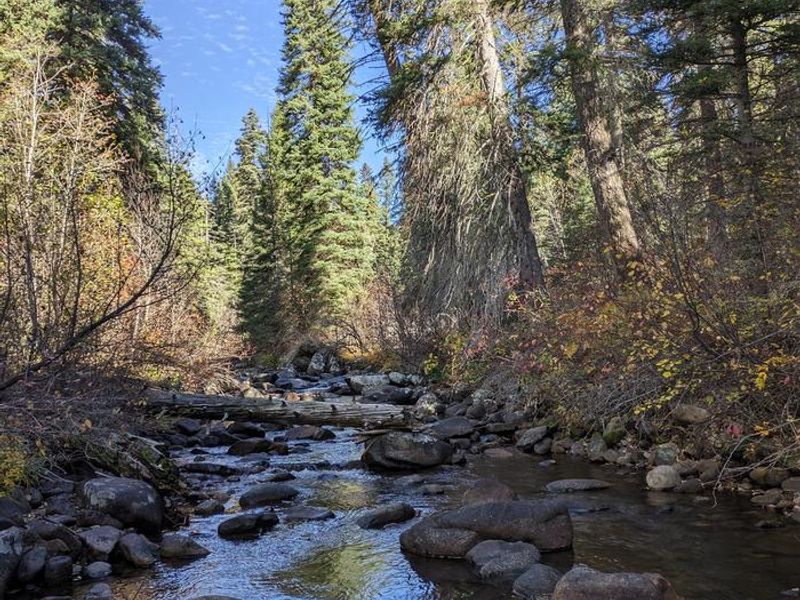 Goose Creek runs adjacent to Last Chance Campground. 