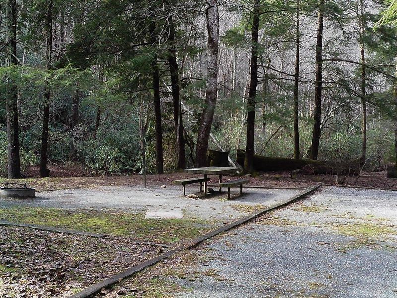 Welcome to Campsite #4