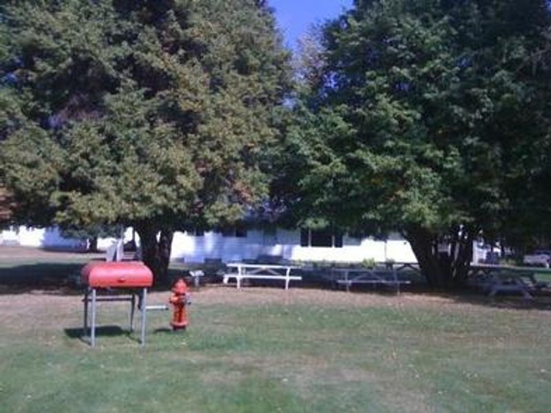 Savenac Cookhouse picnic area