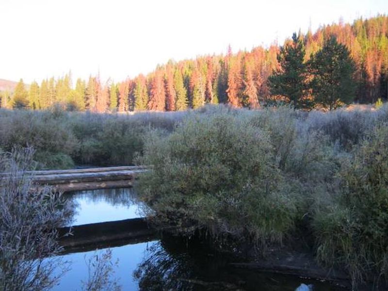 Bridge at May Creek Cabin.