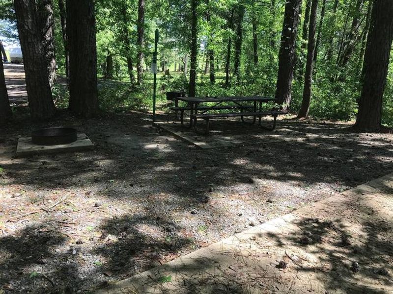 Shaded Class A Campsite #20. RV pad, water, and 20/30/50 AMP electric hook-ups as well as basic campsite amenities including a picnic table, lantern post, fire ring, trash can and grill.