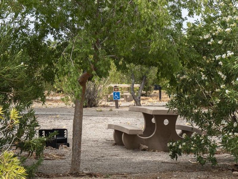 Echo Bay Campground Site 