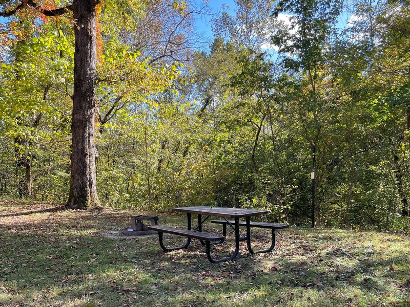 Like other limited development campgrounds, Log Yard offers basic amenities.