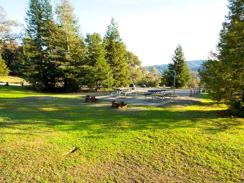 site 15 - double site