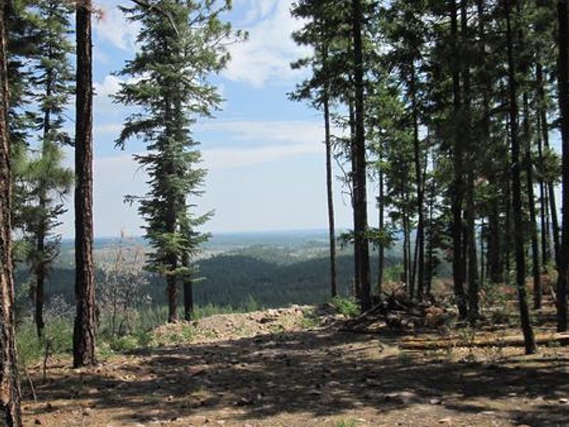 View from Gentry Campground