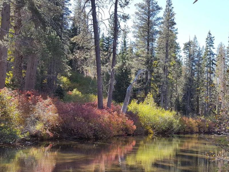 South Yuba River at Hampshire Rocks Campground