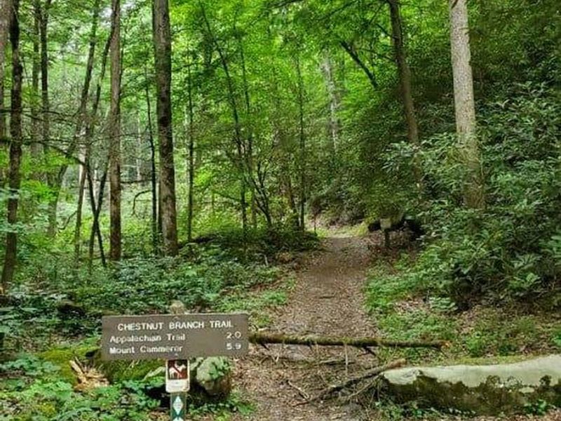 Chestnut Branch Trail head