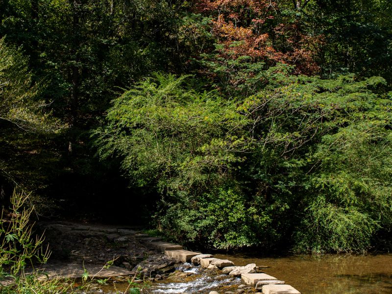 Stones built to bridge the gab across the creek