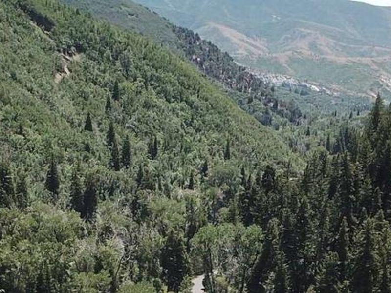 Bear Canyon Campground