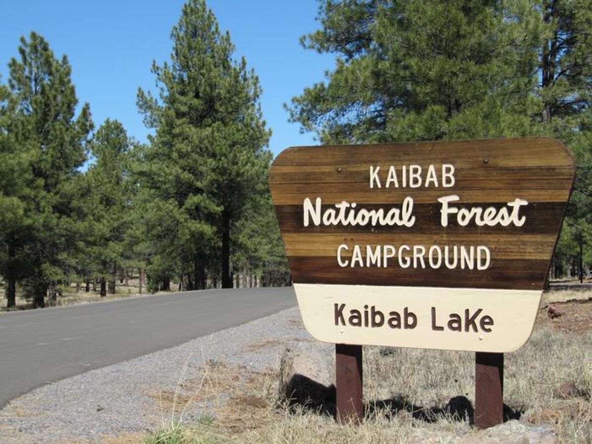 Arizona, Coconino County, Williams, Kaibab National Forest, Kaibab Lake - Photo 2
