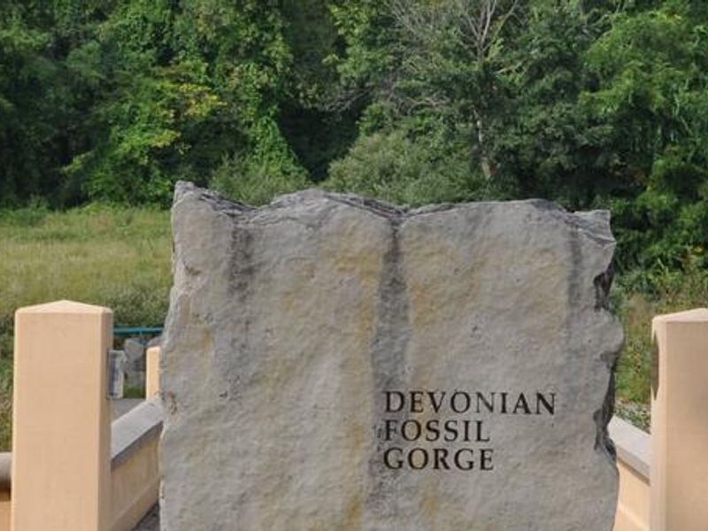 Devonian Fossil Gorge