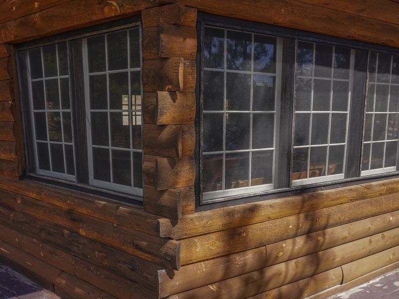 Woods Cabin Windows 