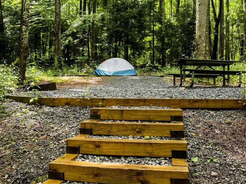 Some sites require climbing stairs or walking up or down a slope. Check site descriptions if you have special restrictions. 