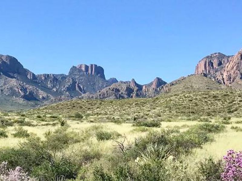 Big Bend preserves the premier example of Chihuahuan Desert in the United States.