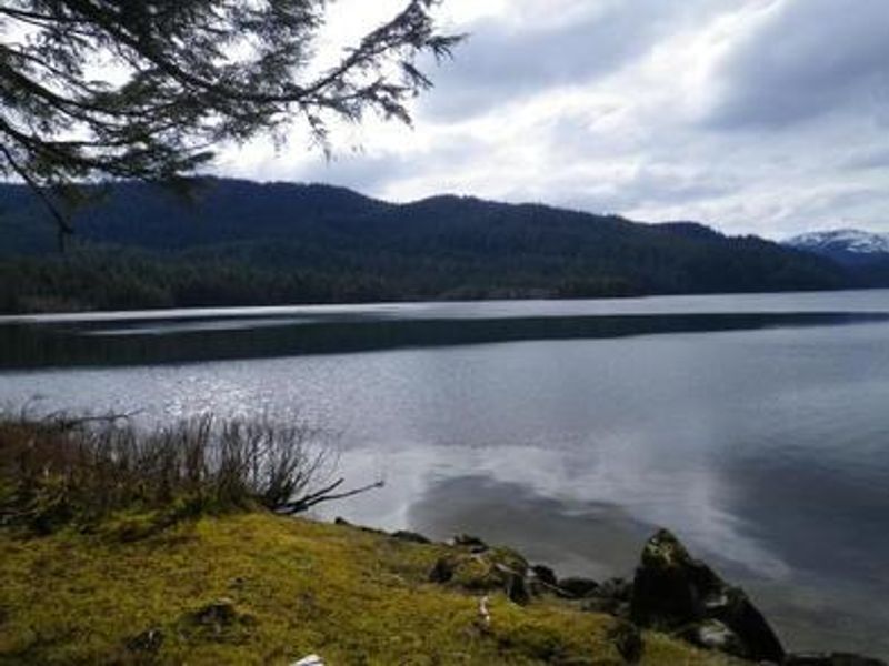 Virginia Lake Cabin scenery