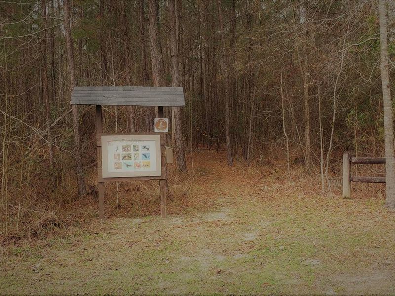 Birding/Walking Trail