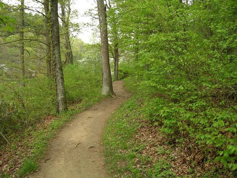 Shoreline Hiking Trail along Lake Vesuvius