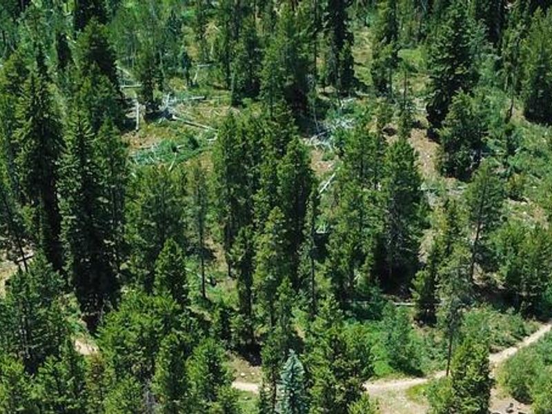 Pine Valley North Wasatch Cach