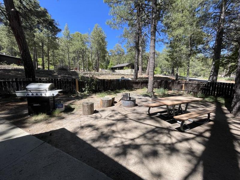 Front Yard with picnic table, fire ring, and propane grill.