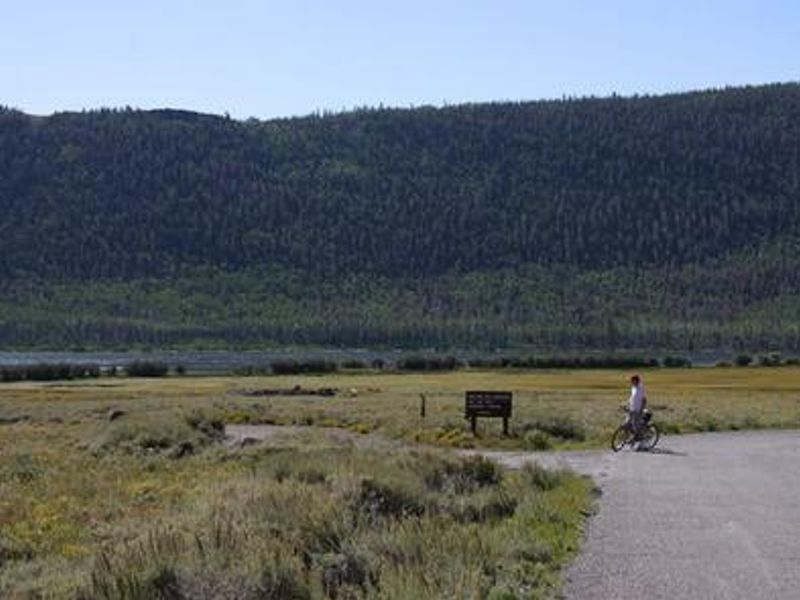 Looking Southeast towards Mallard Bay Day Use are and campground overflow.