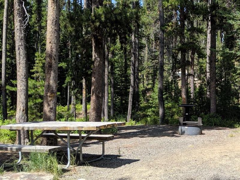 Campsite at Chinook Campground