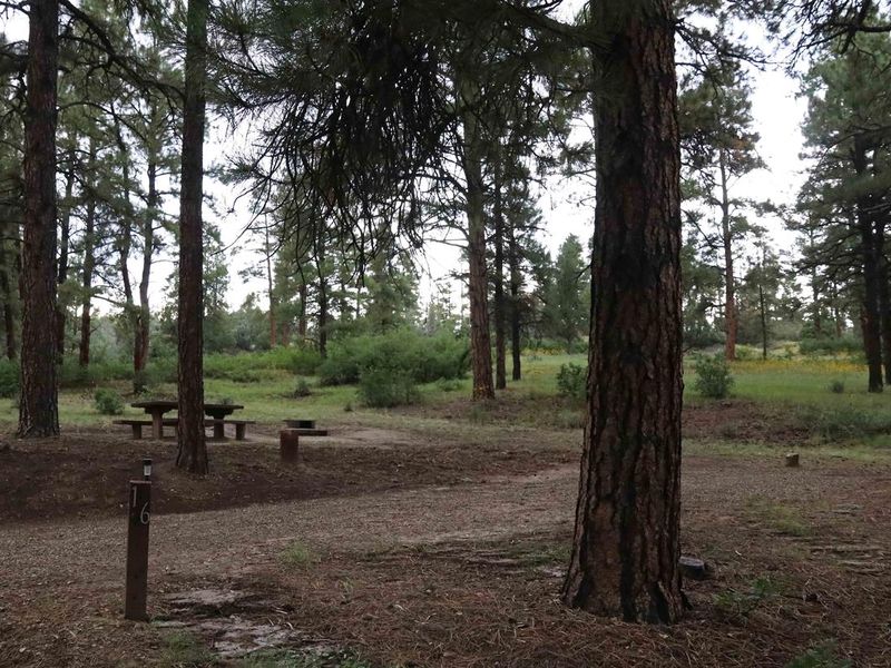 Campsite at Ute Campground