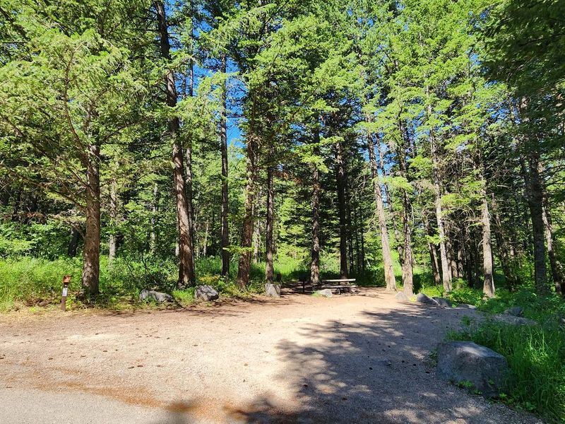 Scout Mountain Campground site 