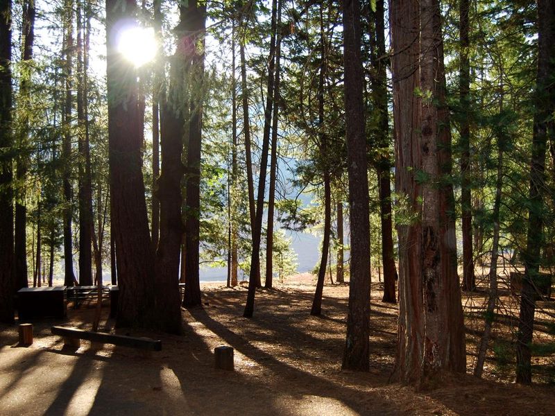 Hayward Flat landscape