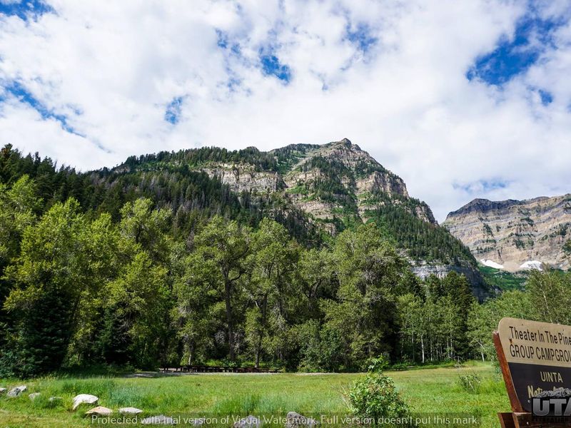 Theater In The Pines