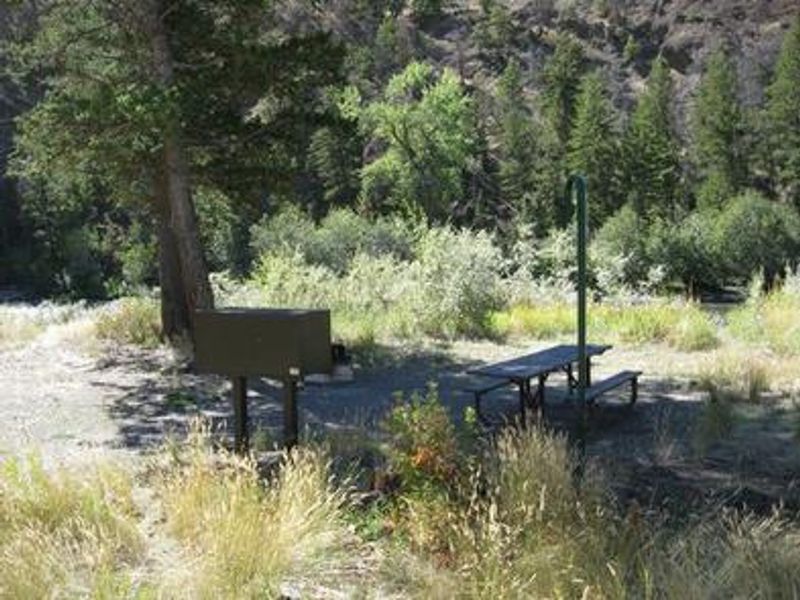 Picnic table and bear box