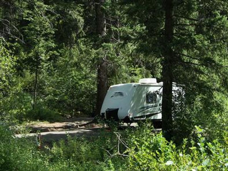 Camper at Evergreen Campground