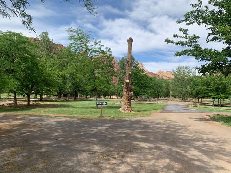 Facing North, Sites 51-71 in Loop C.