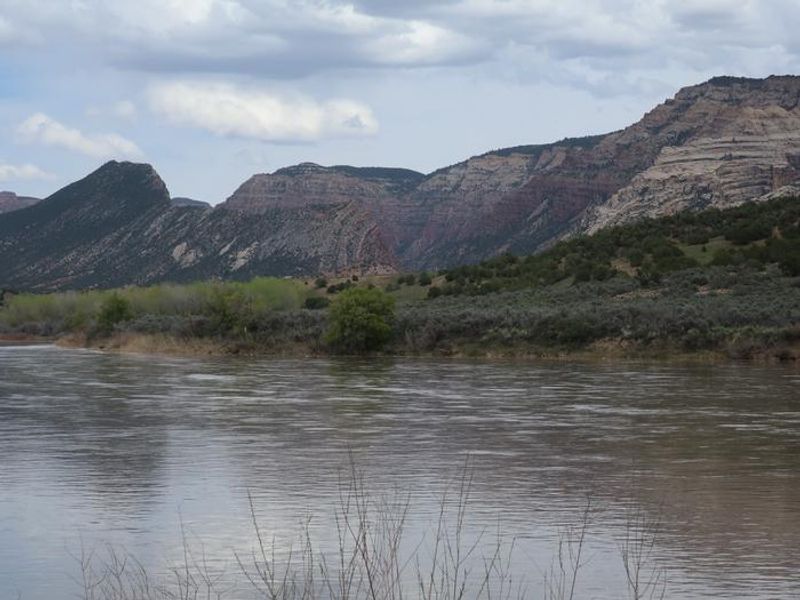 Rainbow Park campground sits on the Green River in Dinosaur National Monument