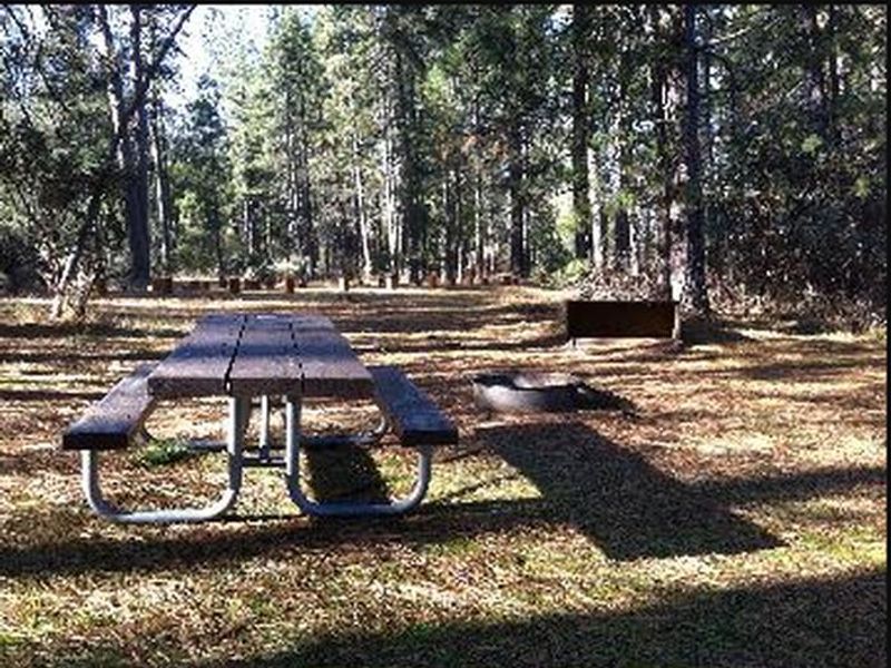Picnic Table and surrounding area
