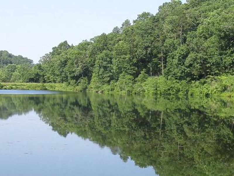 View of Loggers Lake
