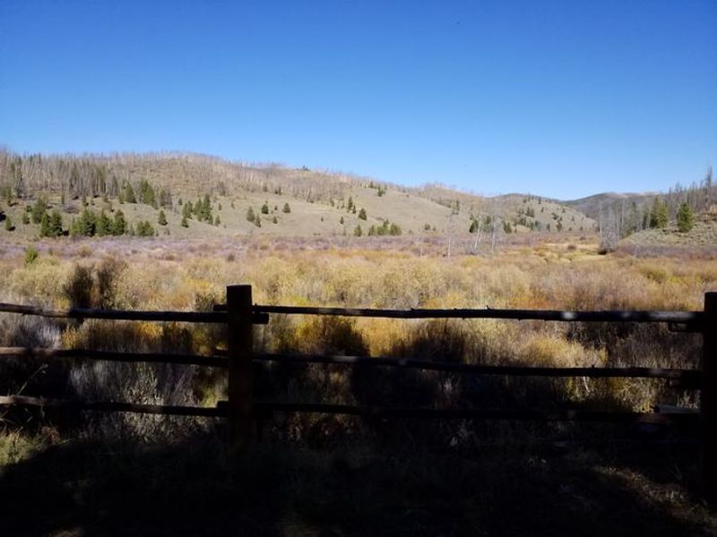 Looking out over Douglas Creek