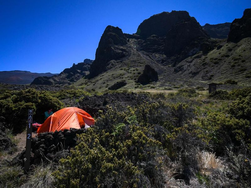 Campers find shade at tent site 1