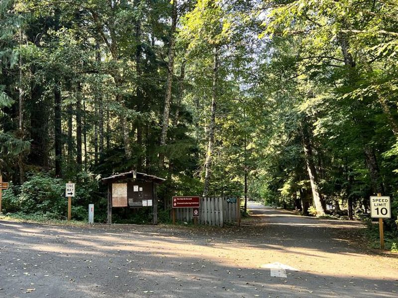 Colonial Creek North Campground is located on the forested shores of Diablo Lake.