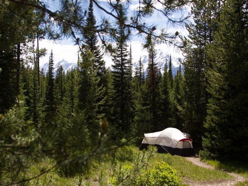 The Colter Bay Campground is situated in a lodgepole pine forest within walking distance of Jackson Lake and numerous trails. 