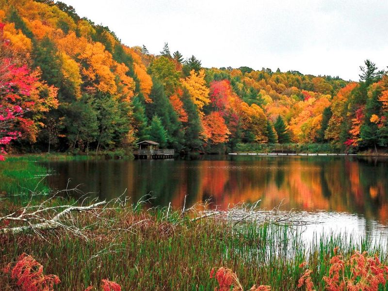 Fall Colors at Beartree Lake  