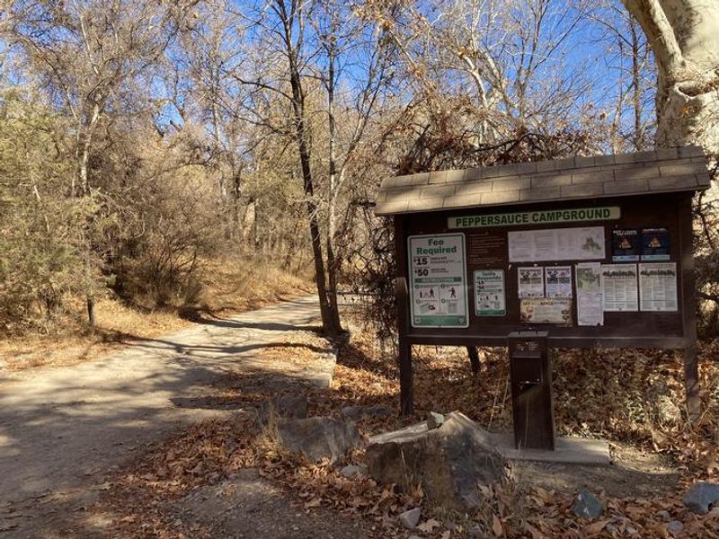 Peppersauce Campground in the northern Santa Catalina Mountains