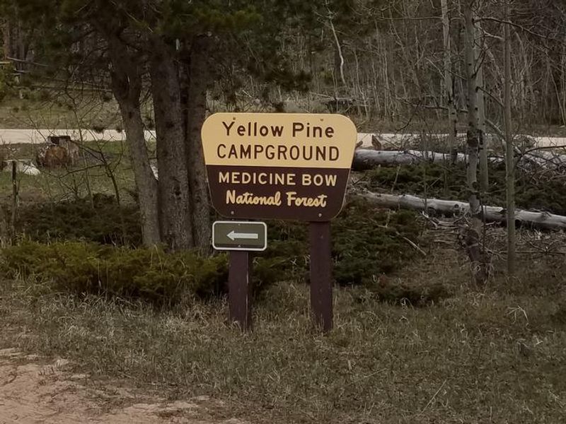 Yellow Pine CG entry