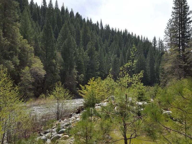 North Forks Yuba River at Union Flat Campground