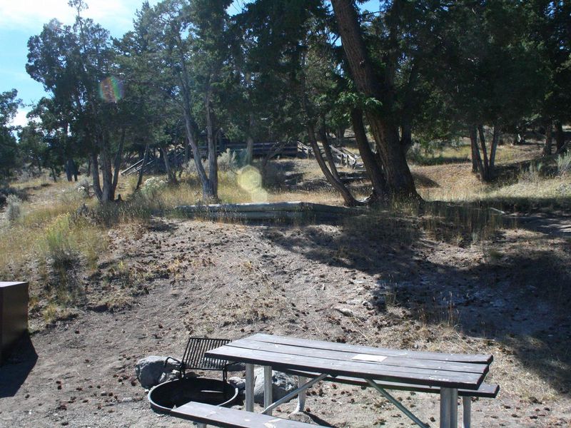 Mammoth Campsite #76