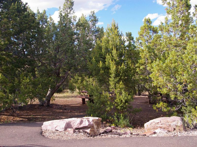 Cedar Springs Campground