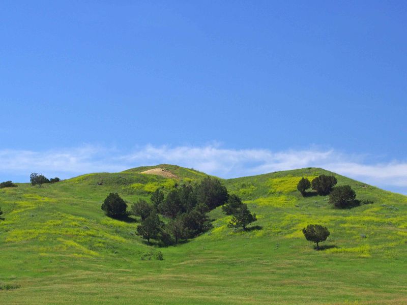 The area surrounding the campground hosts one of the last mixed-grass prairies in the country.