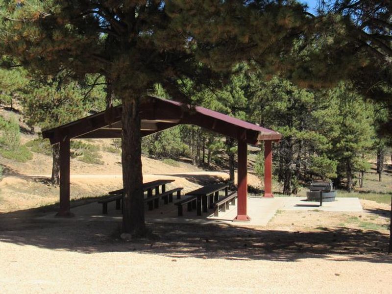 Covered picnic tables