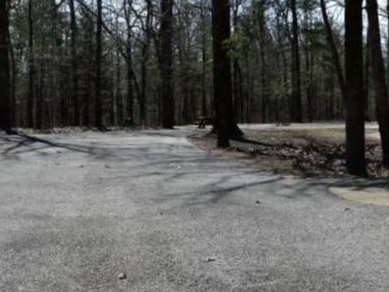 Yellow Hammer Loop - Site 2
March 7, 2020